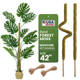 K-Brands poste de musgo frontal mostrando soporte robusto y aspecto natural