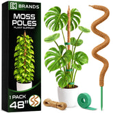 K-Brands poste musgo frontal mostrando soporte planta y aspecto natural