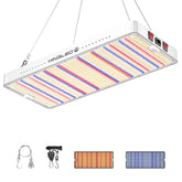KingLED KP4000 frontal mostrando panel y distribución uniforme de luz