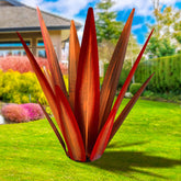 KODIBO agave frente empaquetado mostrando diseño y tamaño, ideal para decorar
