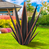 KODIBO agave vista frontal que aporta un punto focal duradero