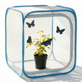 KraAra vista frontal del terrario plegable, visualización clara para observación