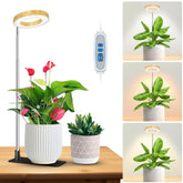 Kullsinss lámpara halo frontal elegante para interiores con aspecto decorativo