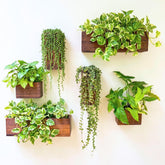 LaLaGreen jardinera de pared frontal mostrando acabado y tamaño, aporta calidez decorativa