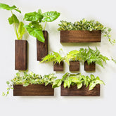 LáLáGreen vista frontal del paquete de 8 maceteros, solución compacta