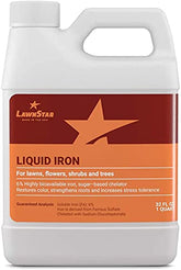 LawnStar envase frontal 32 oz mostrando volumen y etiqueta clara para aplicación fácil