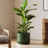 LE TAUCI maceta 12 pulgadas vista frontal elegante y estable para decoración