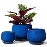 LE TAUCI maceta frontal azul zafiro mostrando diseño elegante