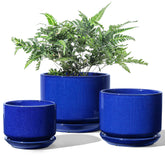 LE TAUCI maceta frontal azul zafiro, aspecto elegante y práctico