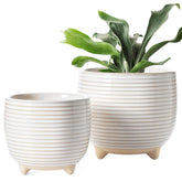 LE TAUCI maceta frontal en blanco, aporte decorativo elegante
