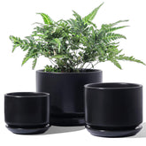 LE TAUCI maceta frontal negra conjunto tres para decoración moderna