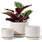 LE TAUCI vista frontal del set de 3 macetas, diseño elegante y práctico