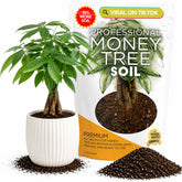 Leaves and Soul empaque frontal mostrando 2.2 qt y beneficio de conveniencia