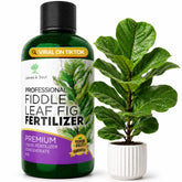 Leaves & Soul botella frontal mostrando etiqueta y beneficio de nutrición