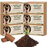 Legigo empaque frontal de ladrillos de coco que muestra marca y cantidad