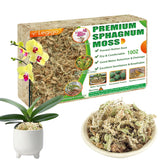 Legigo musgo sphagnum paquete frontal mostrando volumen y pureza