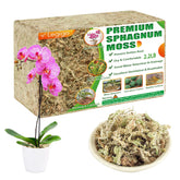Legigo paquete frontal de musgo sphagnum mostrando volumen y etiquetado beneficioso