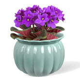 LITUDISO maceta frontal azul mostrando diseño calabaza y estilo decorativo