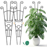 LLCJYYCY soporte monstera vista frontal para crecimiento vertical