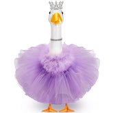 Locmeo disfraz princesa frontal mostrando conjunto completo y atractivo
