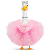 Locmeo disfraz princesa frontal mostrando las cuatro piezas y beneficios estéticos
