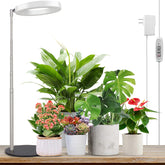 LORDEM vista frontal del producto mostrando diseño compacto y beneficios de iluminación