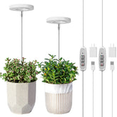 LORDEM vista frontal de la luz de cultivo, diseño halo decorativo y funcional