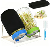 Lulonpon tarros frontal mostrando dos Mason, ideal para cultivo en casa