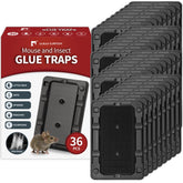 LULUCATCH pack frontal de 36 trampas adhesivas, solución doméstica eficaz