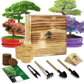 LUOJIBIE caja de madera del kit mostrando contenido y presentación atractiva