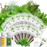 LYKOCLEAN paquete frontal con 16 pods listo para empezar cultivos