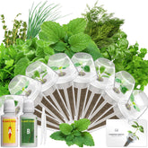 LYKOCLEAN kit frontal mostrando pods y envases beneficioso para empezar cultivo