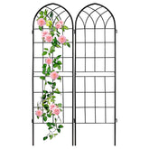 LZRS arco frontal mostrando estructura y soporte decorativo