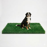 MAYSHINE alfombra frontal mostrando césped realista y limpieza rápida