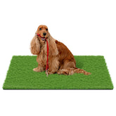 MAYSHINE alfombra frontal con empaquetado mostrando tamaño y acabado