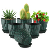 Meowell vista frontal de maceta negra con moteado verde, aspecto moderno y decorativo