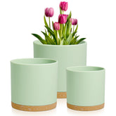 Meowell vista frontal del set verde-marrón con aspecto elegante