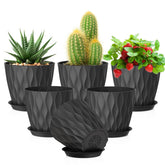 Meowell maceta frontal pack negra con estilo moderno y beneficio decorativo