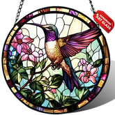 Meyocky colibrí frontal en ventana mostrando colores vivos