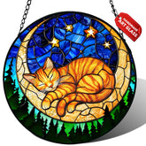 Meyocky gato naranja vista frontal mostrando colores vibrantes