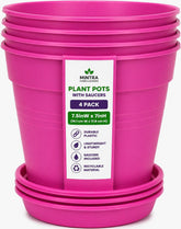 Mintra Office maceta frontal fucsia mostrando diseño decorativo y ahorro de espacio
