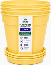 Mintra maceta frontal pack muestra cuatro macetas amarillas, solución decorativa