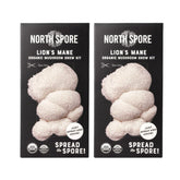 North Spore empaque frontal del kit mostrando contenido y beneficios orgánicos