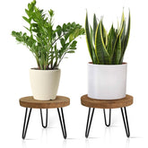 OBTAIN soporte frontal mostrando dos alturas y estilo decorativo