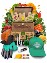 Organo Republic caja de madera organizada con kit, guarda y protege las semillas