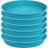 OVZILKI plato frontal teal mostrando forma y borde, protege superficies