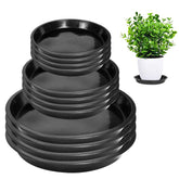 PeoMev plato frontal pack 12 mostrando tres diámetros y estabilidad