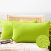 Phantoscope vista frontal del pack lime green, color llamativo y protectora