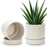 Phoenix Vine maceta frontal oatmeal, aspecto elegante y neutro