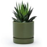 Phoenix Vine maceta frontal oliva, aspecto elegante y compacto
